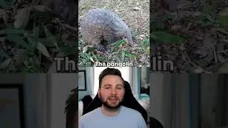 Animal facts that you didn't know before #shorts #short #fact #facts #animals #new #viral