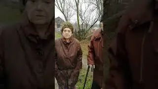 Волгоградских пенсионеров возмутило строительство телятника под окнами