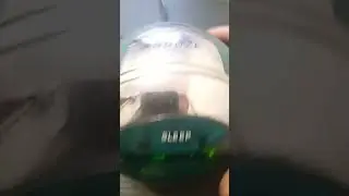 часы с радиоприёмником витек