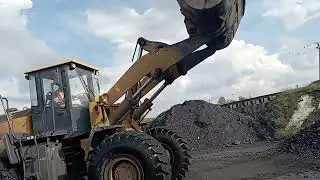 Закупили уголь 15тонн. Пришла первая посылка с проф. семенами👏