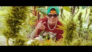 Mariwano | Killdo Hommie 💨💨