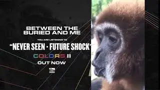 Never Seen Future Shock but a monkey screams, spins and then disappears