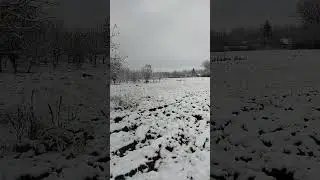 Вот это событие, в Адыгее первый снег❄❄❄