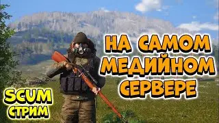 На самом медийном сервере. День 7