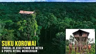 The Korowai Tribe: A Tree-Dwelling Tribe with Unique Rituals