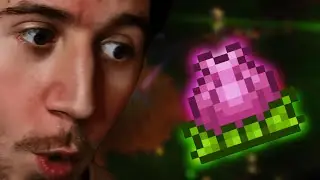 I Found A Pretty Flower....