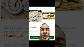 R$30.000,00 em uma cobra 😳