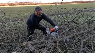 Jedziemy po Orzecha/ Testy Pilarki Sthil ms 251/ C-330 w Akcji