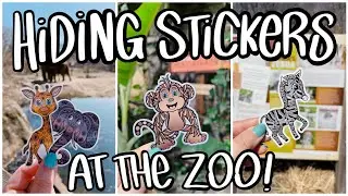 Hiding zenimal stickers in the ZOO!!!