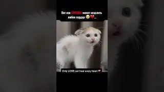 Только любовь может исцелить любое сердце 🥹❤️‍🔥 #любовь #отношения