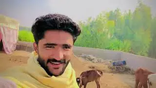 Tower Ki Safai Aur Doctor Tiky Laganay A Gaie 🥵 #AsliBhaiya