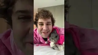 The Bunny Was a Paid Actor😃