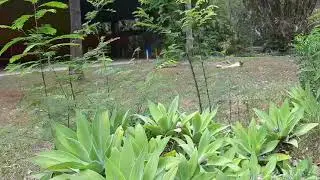 Aconteceu na Unesp em Rio Claro.
