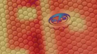 NAMIRO CLIP