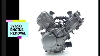 SV650 Engine Removal - Step-by-Step Process