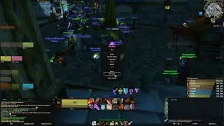 WoW Classic Raiding