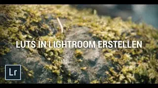 LUTs in Lightroom erstellen - Lightroom