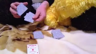 Самый интересный карточный фокус для детей