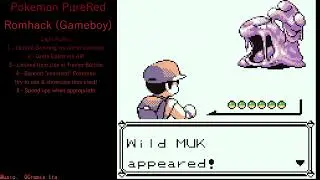 16. Let's Play Pokemon PureRed - Wasn't there supposed to be a test?