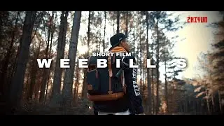 VIDEO TEST B ROLL WEEBILL S zhiyun tech - 4K
