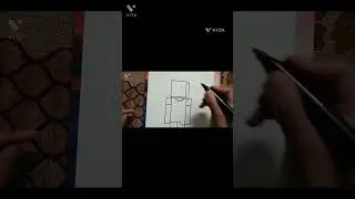 steve drawing