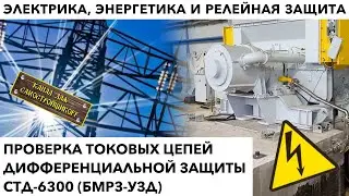 ПРОВЕРКА ТОКОВЫХ ЦЕПЕЙ ДИФЗАЩИТЫ СТД-6300 (БМРЗ-УЗД)+АКЦИЯ ОТ PLUSH TOYS+ССЫЛКА НА КРУТОЙ КАНАЛ!