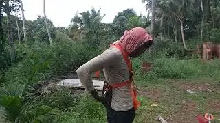 grass cutting