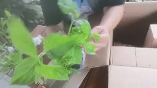 Распаковка с магазина опт-хоз.