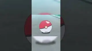 Goh catches a Pidgey