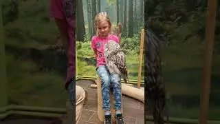 Сова на коленках