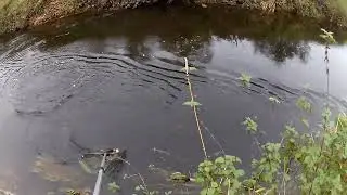Last day of the season and the last fish took the rubberlegs !!!
