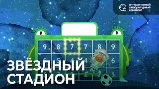 Интерактивный физкультурный комплекс. «Звёздный стадион»