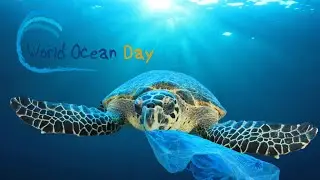 World Oceans Day - La Giornata Mondiale degli Oceani - 8 Giugno 2020 - maestra Katia LP