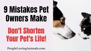 9 Mistakes Pet Owners Make | Cat Owner Mistakes | Dog Owner Mistakes | Common Pet Owner Mistakes