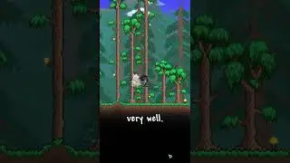 Which Terraria Class Is Actually The Best? 