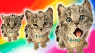 Animated Little Kitten Adventure Stories for Kids | Kids Cartoon with little kitten friends learning