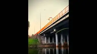 Норм?