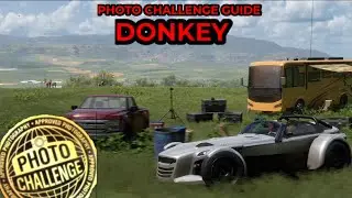 Forza Horizon 5 - Photo Challenge Guide - DONKEY - Wildlife Photograph by Cascadas De Agua Azul