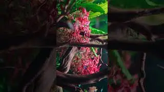 Saturday➡️Short Cinematic by Green Aqua😌