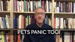 Pets Panic Too!