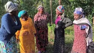 AIRU WAMEUZA SHAMBA YA GACHARU // MBARA CIA MICII