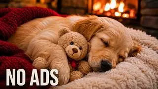 24 Hours Healing Music for Dogs 🐶💖 Relaxing Sleep Sounds & Anxiety Relief 🎵 No Ads
