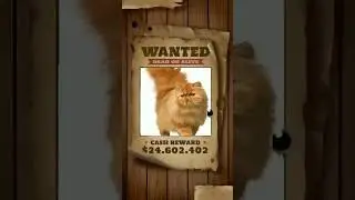 эххххх блять