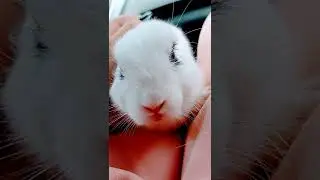 Первое путешествие👣
