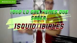 ISQUIOTIBIALES: Guía completa para entrenarlos