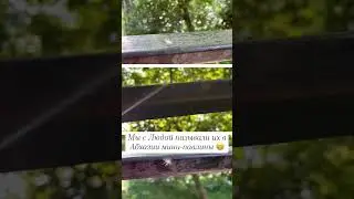 #фауна