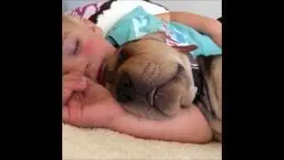 Тео и Бэо -- восхитительные фотографии, видео щенка и малыша.1