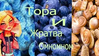 Тора и жратва / Я подняла свой зад ?