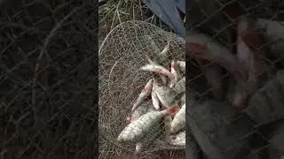 Рыбалка на озере Песчаное, Бурлинский район, Алтайский край, 2020 год