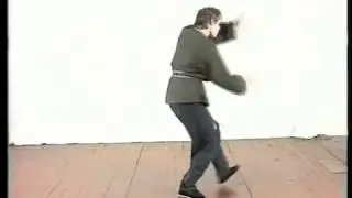 Техника Шоу Дао 23